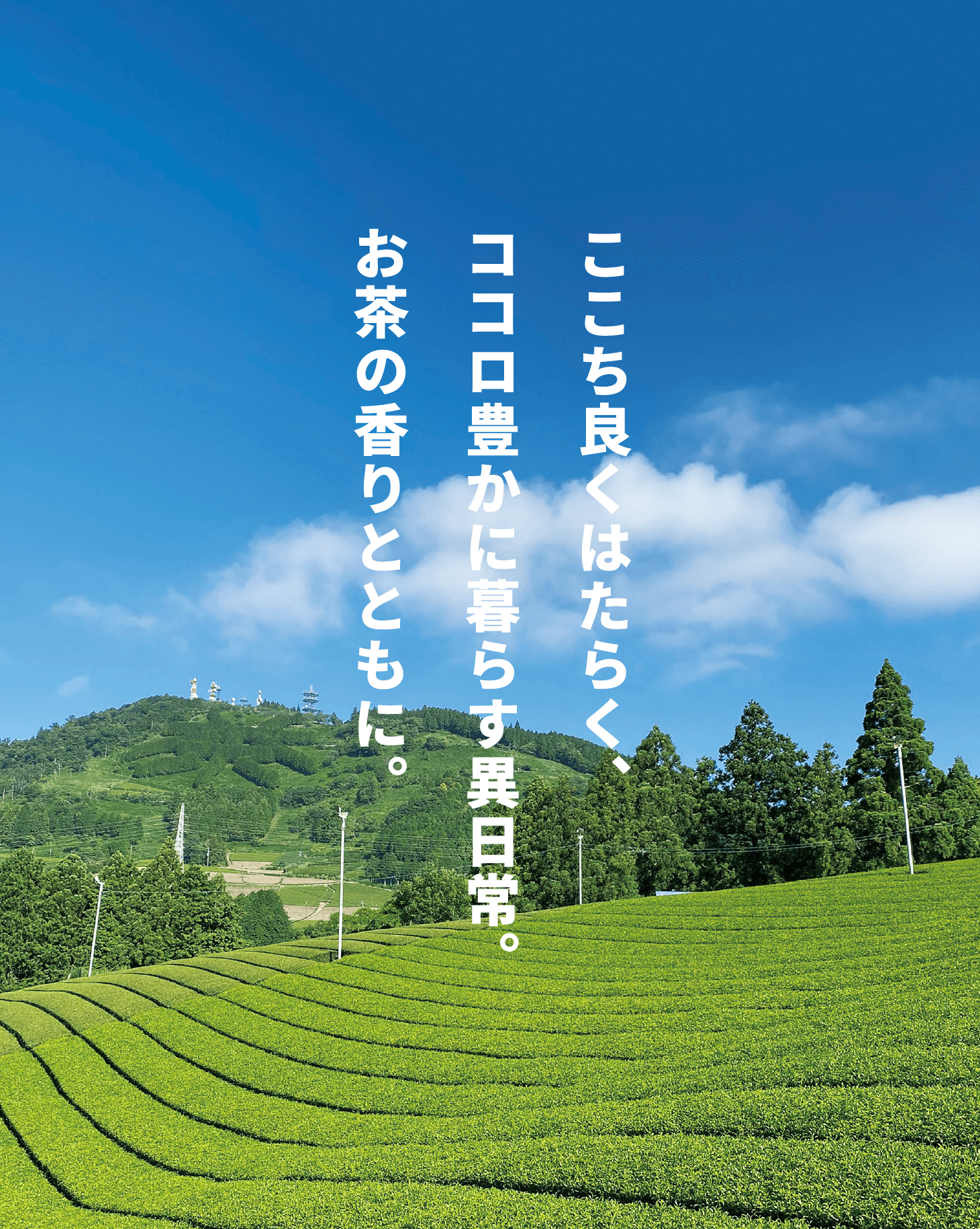 ここち良くはたらく、ココロ豊に暮らす異日常。お茶の香りとともに。